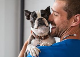 Pet care